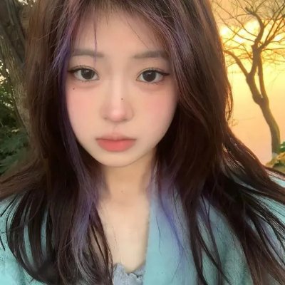 方案